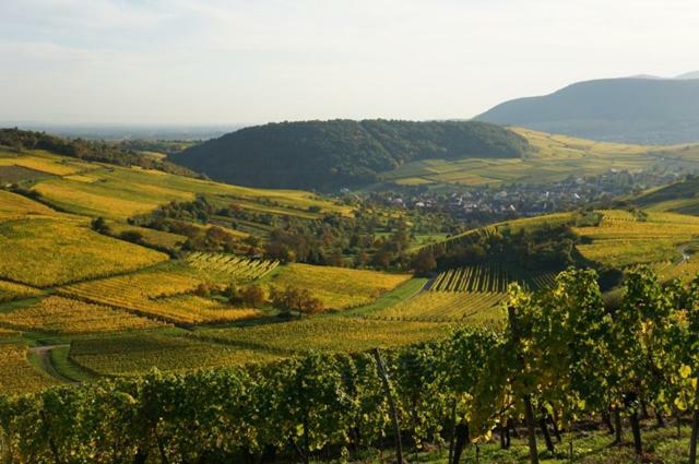 Petite Cahute Villa Soultzmatt Buitenkant foto